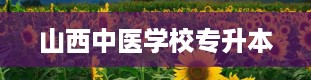 山西中医学校专升本