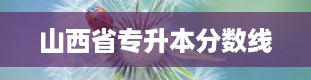 山西省专升本分数线