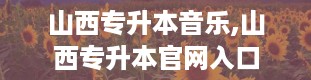 山西专升本音乐,山西专升本官网入口