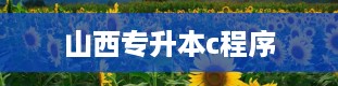 山西专升本c程序