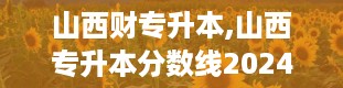 山西财专升本,山西专升本分数线2024