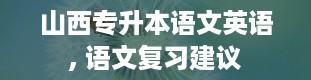 山西专升本语文英语, 语文复习建议