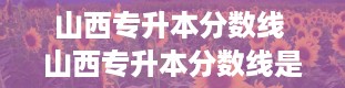 山西专升本分数线 山西专升本分数线是多少