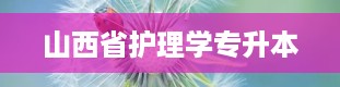 山西省护理学专升本