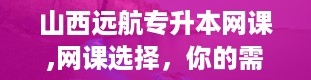 山西远航专升本网课,网课选择，你的需求是关键