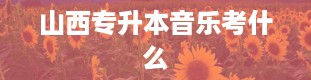 山西专升本音乐考什么