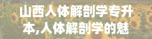 山西人体解剖学专升本,人体解剖学的魅力