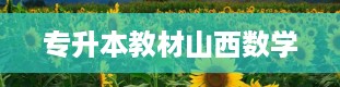 专升本教材山西数学