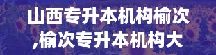 山西专升本机构榆次,榆次专升本机构大盘点