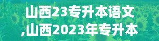 山西23专升本语文,山西2023年专升本语文考试概述