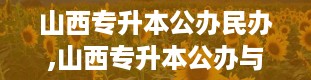 山西专升本公办民办,山西专升本公办与民办院校选择指南