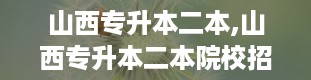 山西专升本二本,山西专升本二本院校招生情况分析