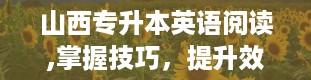 山西专升本英语阅读,掌握技巧，提升效率