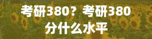 考研380？考研380分什么水平