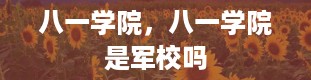 八一学院，八一学院是军校吗