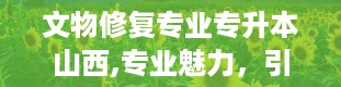 文物修复专业专升本山西,专业魅力，引你入门