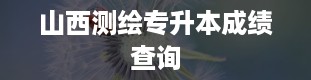 山西测绘专升本成绩查询