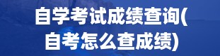 自学考试成绩查询(自考怎么查成绩)