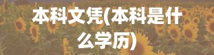 本科文凭(本科是什么学历)