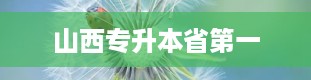 山西专升本省第一