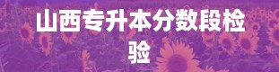 山西专升本分数段检验