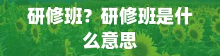 研修班？研修班是什么意思