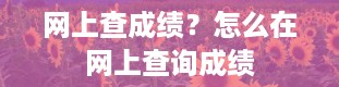 网上查成绩？怎么在网上查询成绩