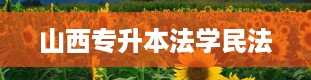 山西专升本法学民法