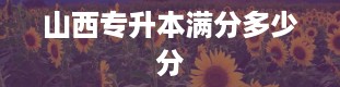 山西专升本满分多少分