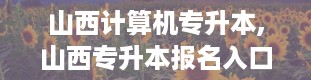 山西计算机专升本,山西专升本报名入口官网