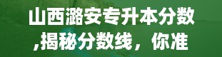 山西潞安专升本分数,揭秘分数线，你准备好了吗