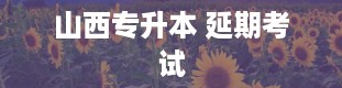 山西专升本 延期考试