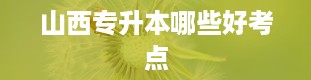 山西专升本哪些好考点