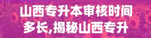 山西专升本审核时间多长,揭秘山西专升本审核时间