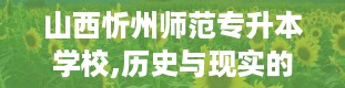 山西忻州师范专升本学校,历史与现实的交融