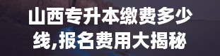 山西专升本缴费多少线,报名费用大揭秘