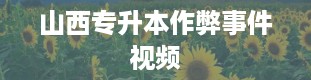 山西专升本作弊事件视频