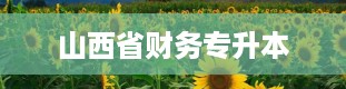 山西省财务专升本