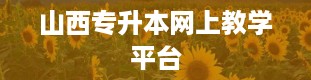 山西专升本网上教学平台