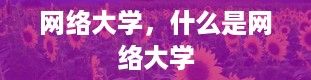 网络大学，什么是网络大学