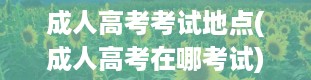 成人高考考试地点(成人高考在哪考试)