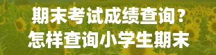 期末考试成绩查询？怎样查询小学生期末考试成绩