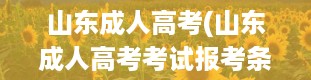 山东成人高考(山东成人高考考试报考条件有哪些)