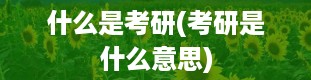 什么是考研(考研是什么意思)