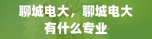 聊城电大，聊城电大有什么专业