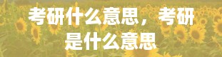 考研什么意思，考研是什么意思