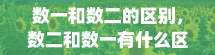 数一和数二的区别，数二和数一有什么区别