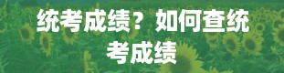 统考成绩？如何查统考成绩