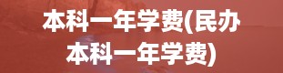 本科一年学费(民办本科一年学费)