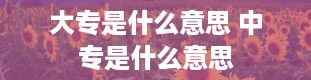 大专是什么意思 中专是什么意思